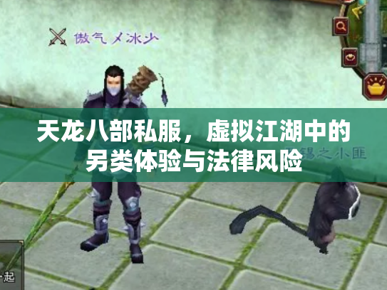 天龙八部私服，虚拟江湖中的另类体验与法律风险