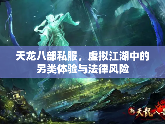 天龙八部私服，虚拟江湖中的另类体验与法律风险