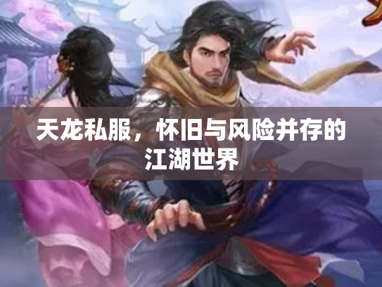 天龙私服，怀旧与风险并存的江湖世界