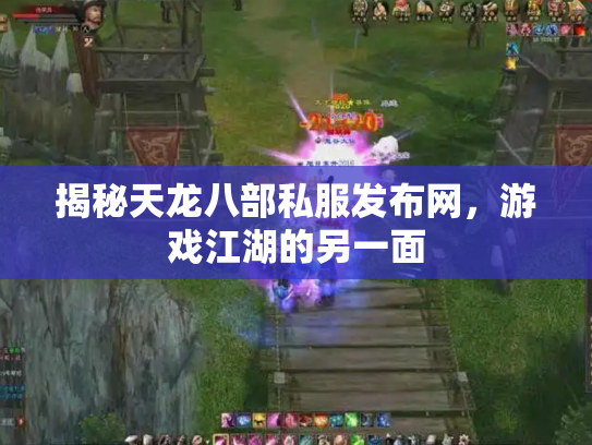 揭秘天龙八部私服发布网，游戏江湖的另一面