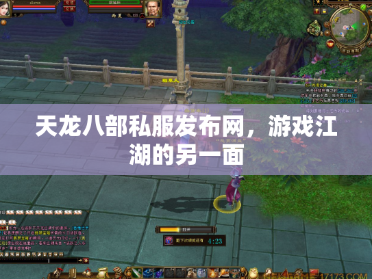 天龙八部私服发布网，游戏江湖的另一面