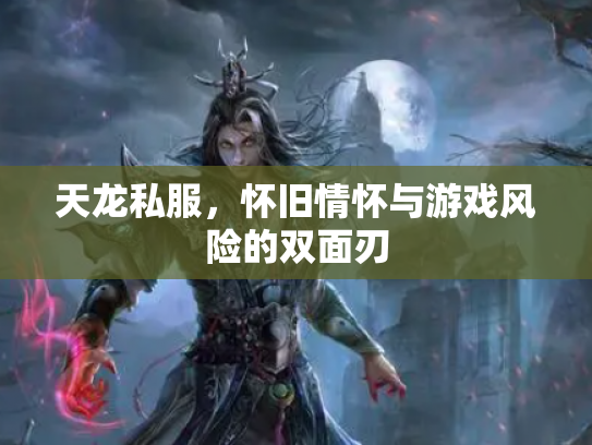 天龙私服，怀旧情怀与游戏风险的双面刃