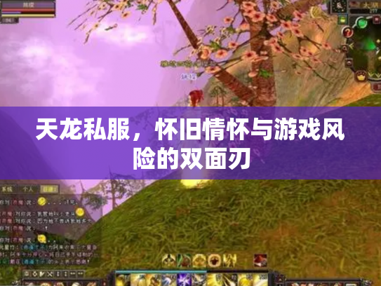 天龙私服，怀旧情怀与游戏风险的双面刃