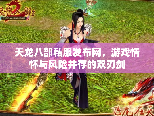 天龙八部私服发布网，游戏情怀与风险并存的双刃剑