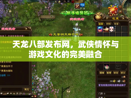 天龙八部发布网，武侠情怀与游戏文化的完美融合