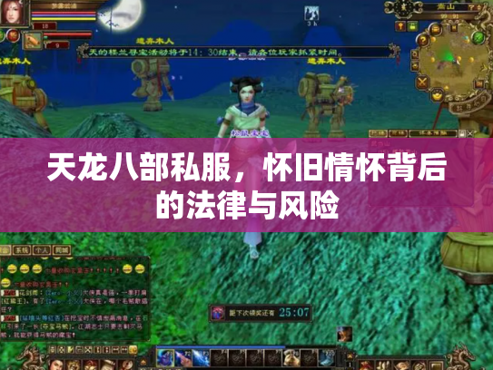 天龙八部私服，怀旧情怀背后的法律与风险