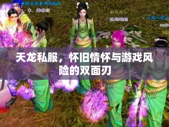天龙私服，怀旧情怀与游戏风险的双面刃