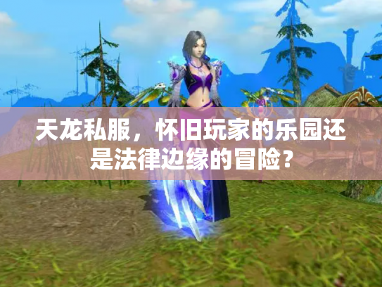 天龙私服，怀旧玩家的乐园还是法律边缘的冒险？