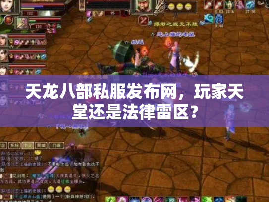 天龙八部私服发布网，玩家天堂还是法律雷区？