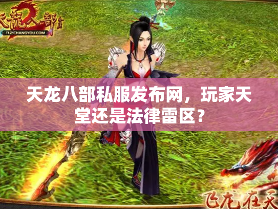天龙八部私服发布网，玩家天堂还是法律雷区？