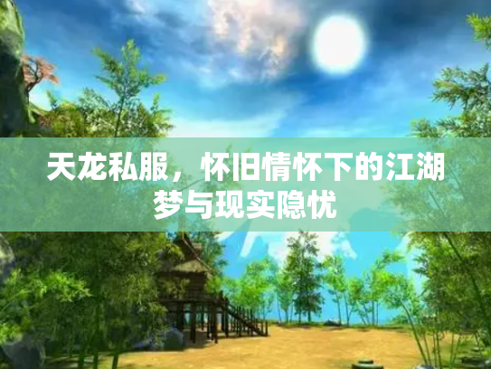 天龙私服，怀旧情怀下的江湖梦与现实隐忧
