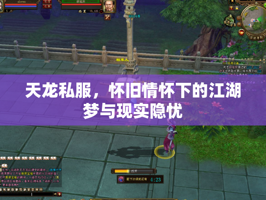 天龙私服，怀旧情怀下的江湖梦与现实隐忧