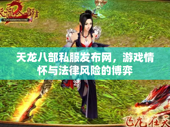 天龙八部私服发布网，游戏情怀与法律风险的博弈