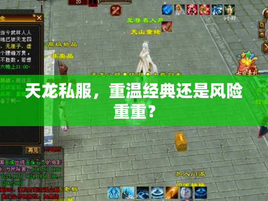 天龙私服，重温经典还是风险重重？