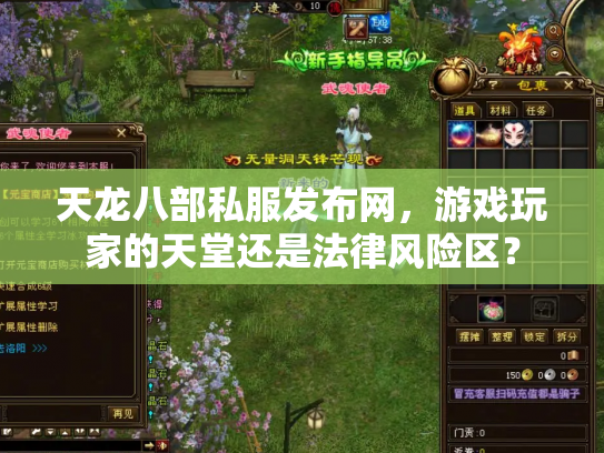 天龙八部私服发布网，游戏玩家的天堂还是法律风险区？