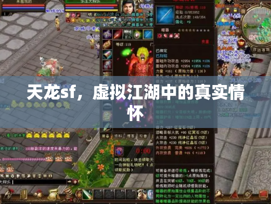 天龙sf，虚拟江湖中的真实情怀