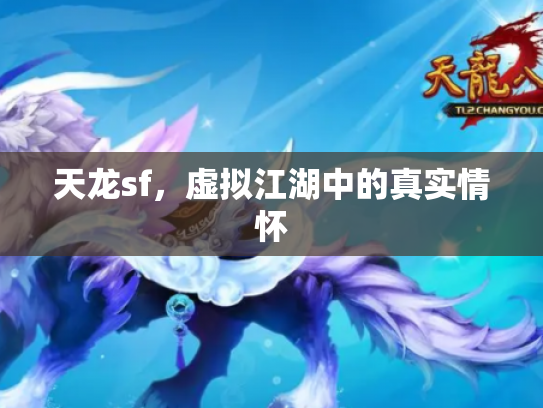 天龙sf，虚拟江湖中的真实情怀