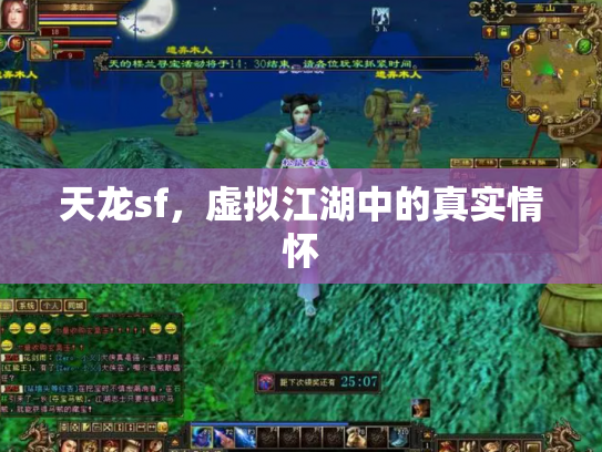 天龙sf，虚拟江湖中的真实情怀