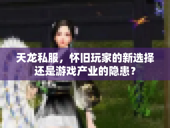 天龙私服，怀旧玩家的新选择还是游戏产业的隐患？