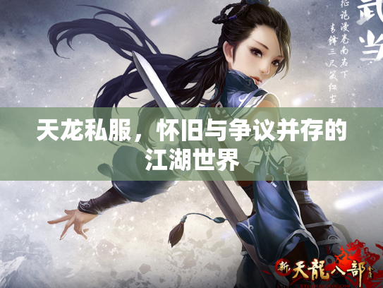 天龙私服，怀旧与争议并存的江湖世界