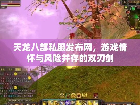 天龙八部私服发布网，游戏情怀与风险并存的双刃剑