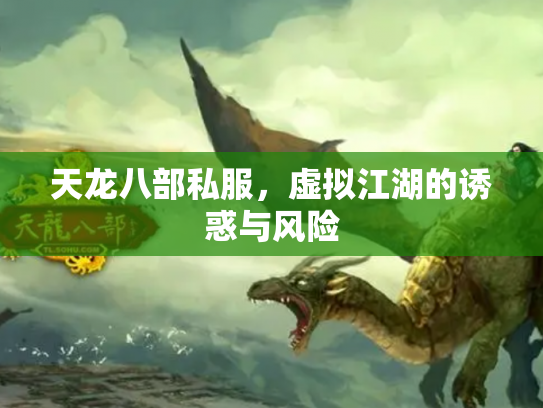 天龙八部私服，虚拟江湖的诱惑与风险
