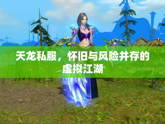 天龙私服，怀旧与风险并存的虚拟江湖