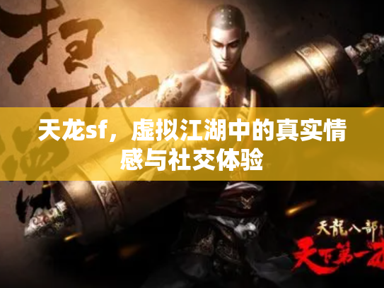 天龙sf，虚拟江湖中的真实情感与社交体验