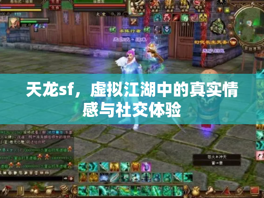 天龙sf，虚拟江湖中的真实情感与社交体验