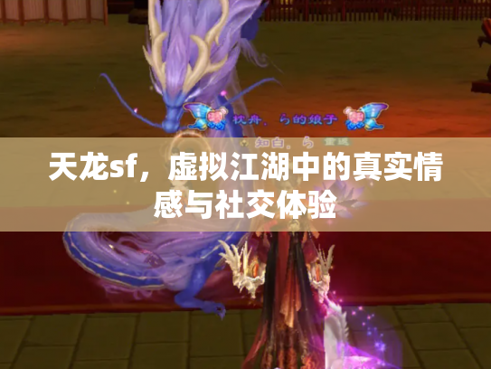 天龙sf，虚拟江湖中的真实情感与社交体验