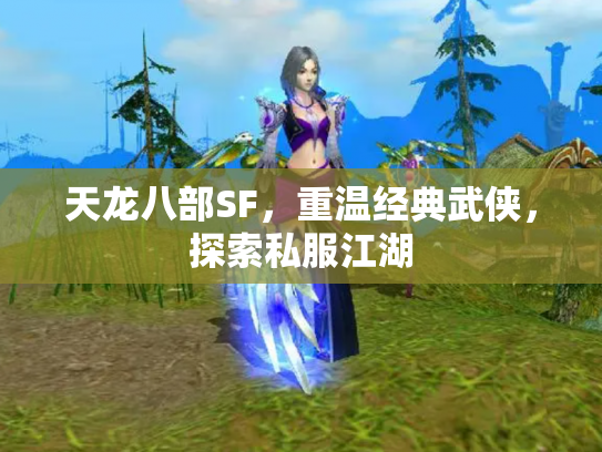 天龙八部SF，重温经典武侠，探索私服江湖