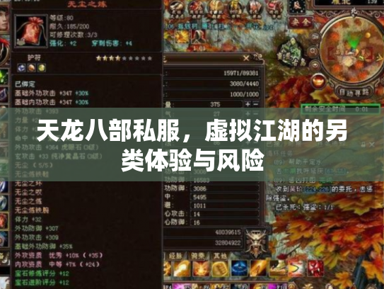 天龙八部私服，虚拟江湖的另类体验与风险
