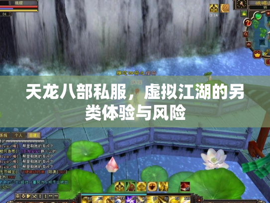 天龙八部私服，虚拟江湖的另类体验与风险