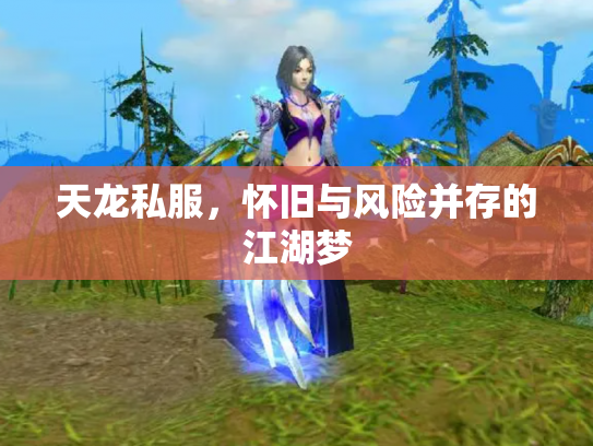 天龙私服，怀旧与风险并存的江湖梦