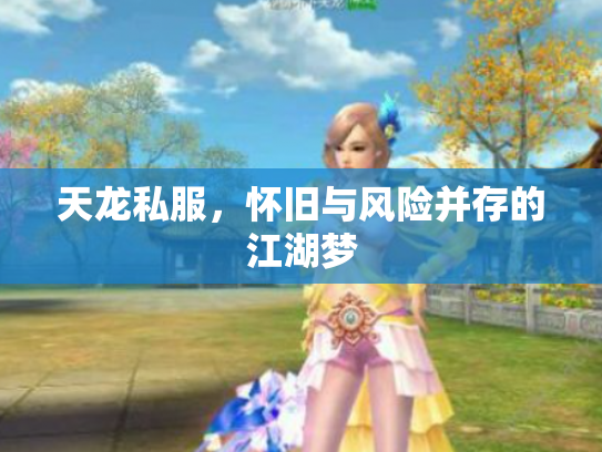 天龙私服，怀旧与风险并存的江湖梦