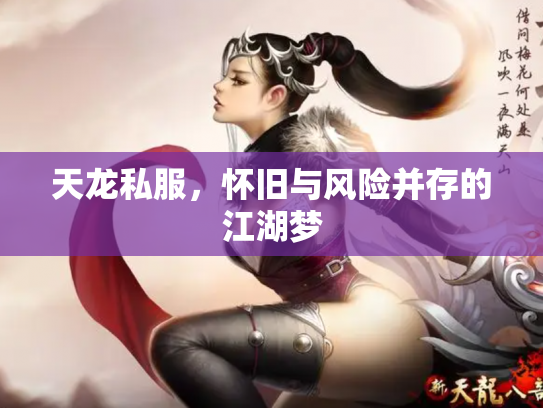 天龙私服，怀旧与风险并存的江湖梦