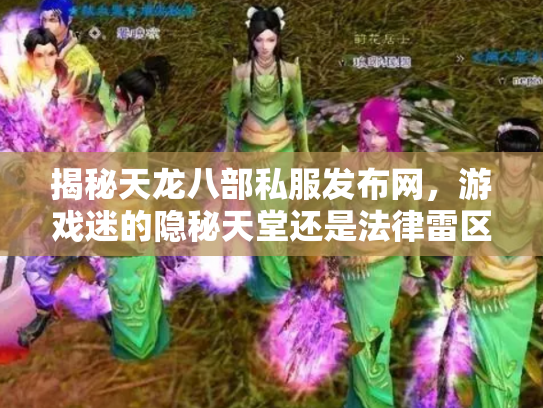 揭秘天龙八部私服发布网，游戏迷的隐秘天堂还是法律雷区？