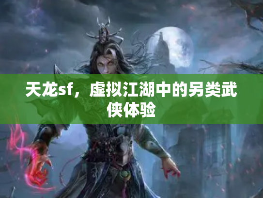 天龙sf，虚拟江湖中的另类武侠体验