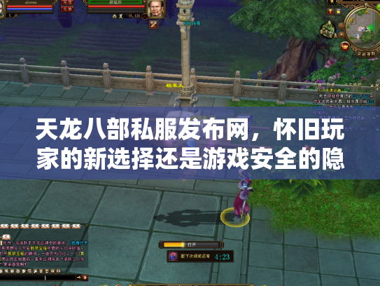 天龙八部私服发布网，怀旧玩家的新选择还是游戏安全的隐患？