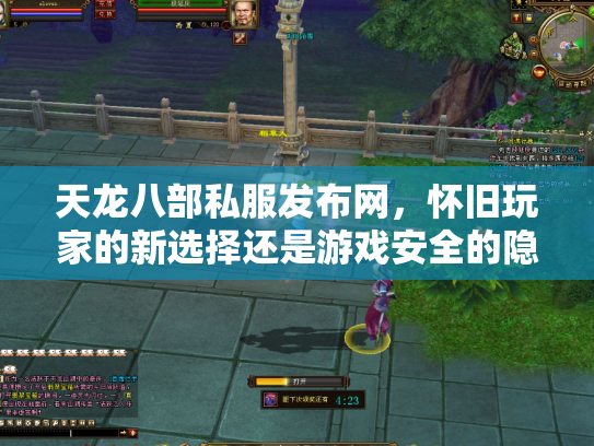 天龙八部私服发布网，怀旧玩家的新选择还是游戏安全的隐患？