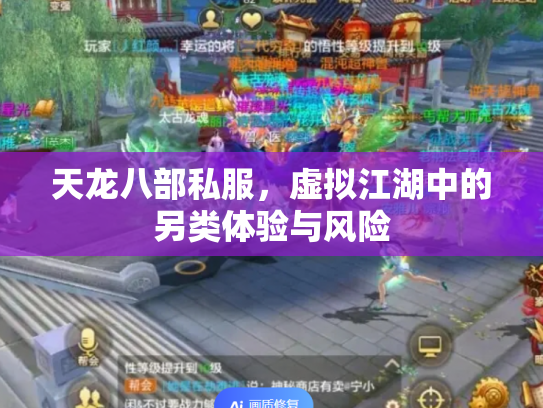 天龙八部私服，虚拟江湖中的另类体验与风险
