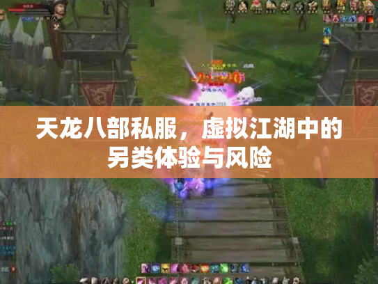 天龙八部私服，虚拟江湖中的另类体验与风险