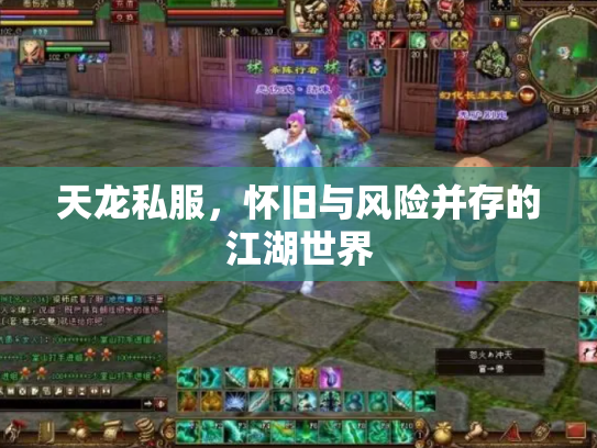 天龙私服，怀旧与风险并存的江湖世界
