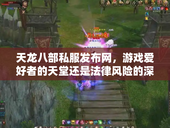 天龙八部私服发布网，游戏爱好者的天堂还是法律风险的深渊？