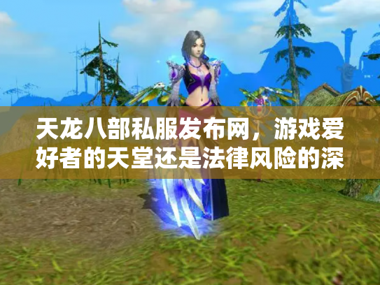 天龙八部私服发布网，游戏爱好者的天堂还是法律风险的深渊？