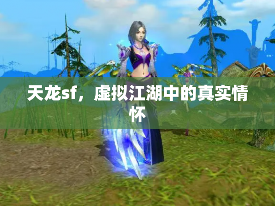 天龙sf，虚拟江湖中的真实情怀