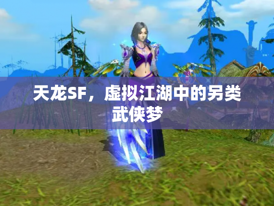 天龙SF，虚拟江湖中的另类武侠梦