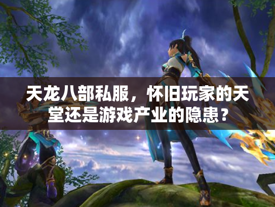 天龙八部私服，怀旧玩家的天堂还是游戏产业的隐患？