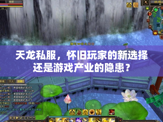 天龙私服，怀旧玩家的新选择还是游戏产业的隐患？
