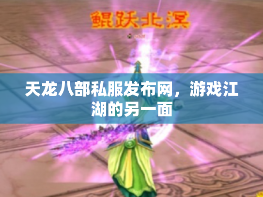 天龙八部私服发布网，游戏江湖的另一面